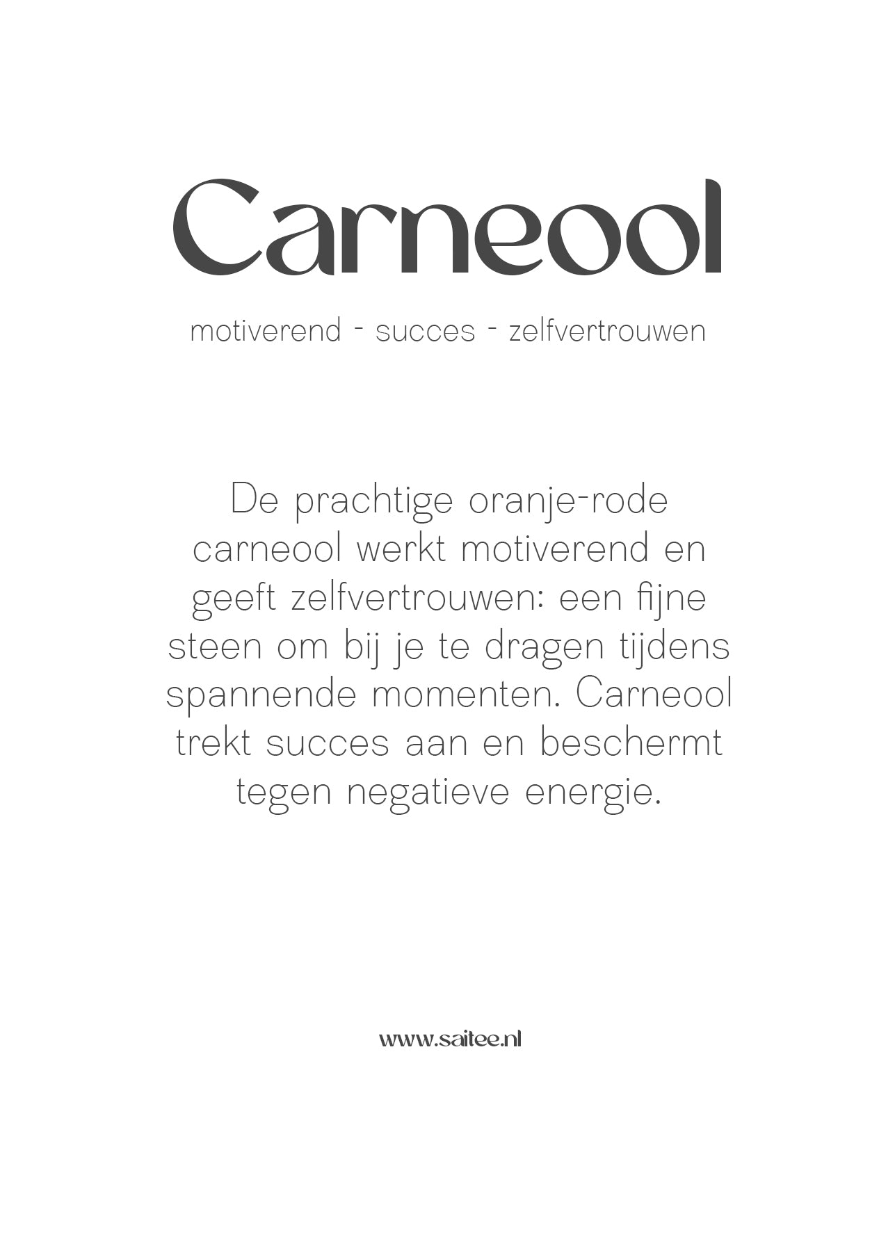 Carneool edelsteen kettinkje