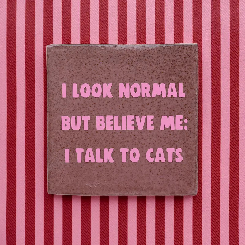 I look normal but believe me i talk to cats tegeltje